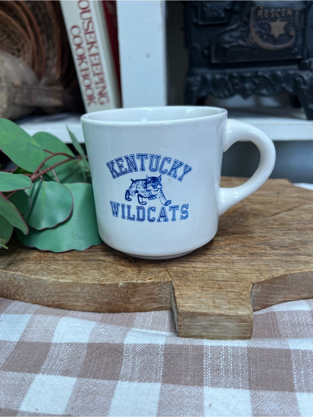 Vintage Kentucky wildcats mug USA sports cup
